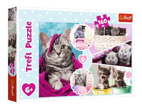 TREFL 15371 Puzzle ''160'' Urocze kotki TREFL 15371 Puzzle ''160'' Urocze kotki