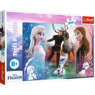 TREFL 23006 Puzzle 300 el. Magiczny czas
