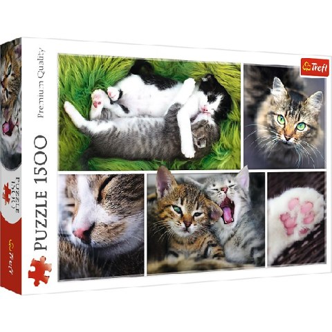 TREFL 26145 Puzzle 1500 Kocie sprawy-kolaż TREFL 26145 Puzzle 1500 Kocie sprawy-kolaż